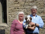 Amelia's new family
